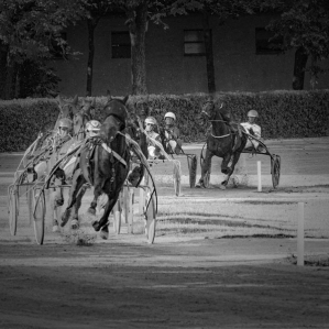 a day at the races .....