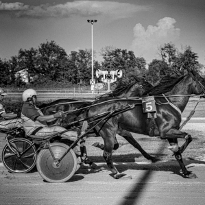 a day at the races .....