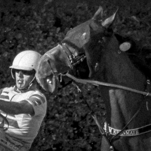 a day at the races .....
