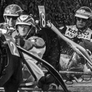 a day at the races .....