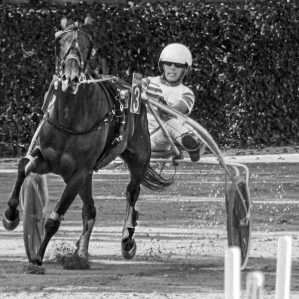 a day at the races .....
