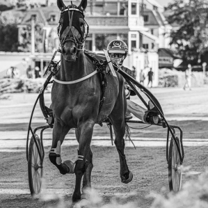 a day at the races .....