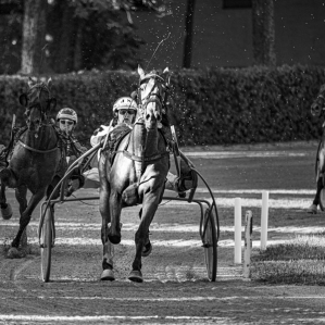 a day at the races .....