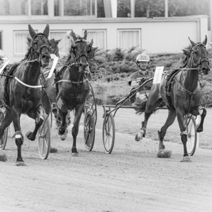 a day at the races .....