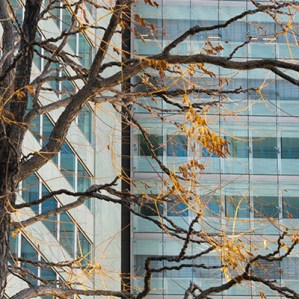 ARCHITEKTUR