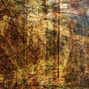 espace-illumines
