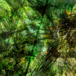 espace-illumines