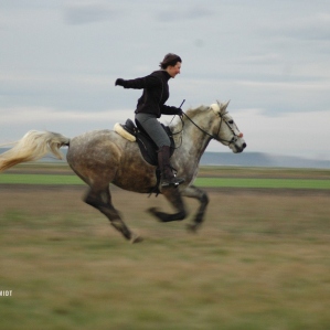 HORSE-RIDING