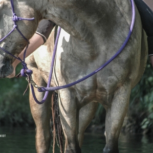 HORSE-RIDING