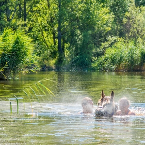 HORSE-RIDING