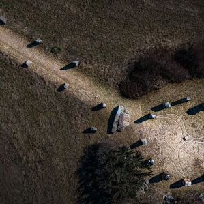 DJI_0121_1